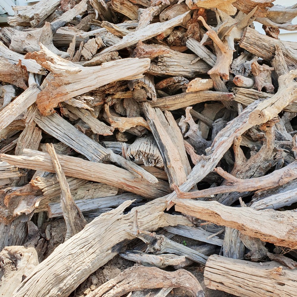 Natural Driftwood for decoration