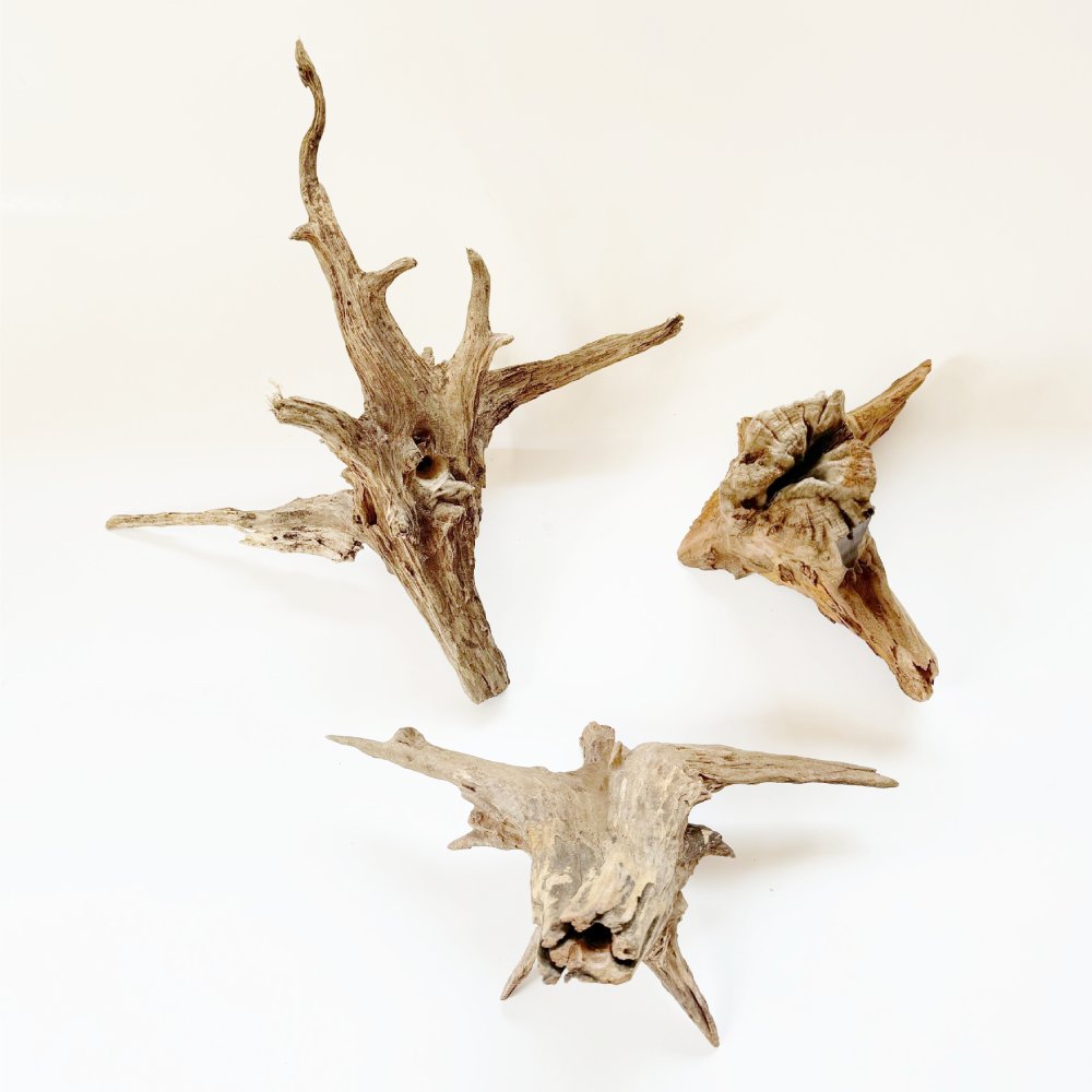 freestyle shapes of small Natural Driftwood for decoration