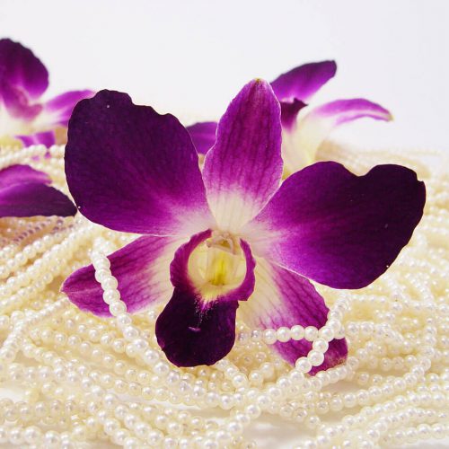 Dried Orchid Head Sonia with pearl necklace - Prosco