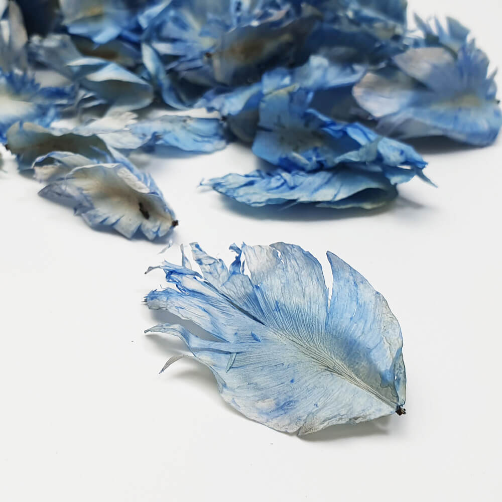 Light Blue tulip feather for potpourri ingredient or biodegradable confetti and decoration