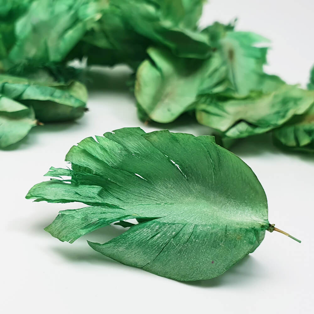 Light Green tulip feather for potpourri ingredient or biodegradable confetti and decoration