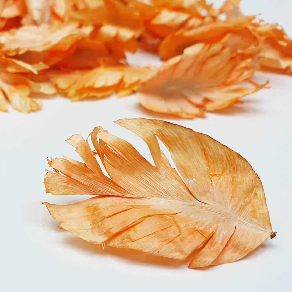 Light Orange tulip feather for potpourri ingredient or biodegradable confetti and decoration