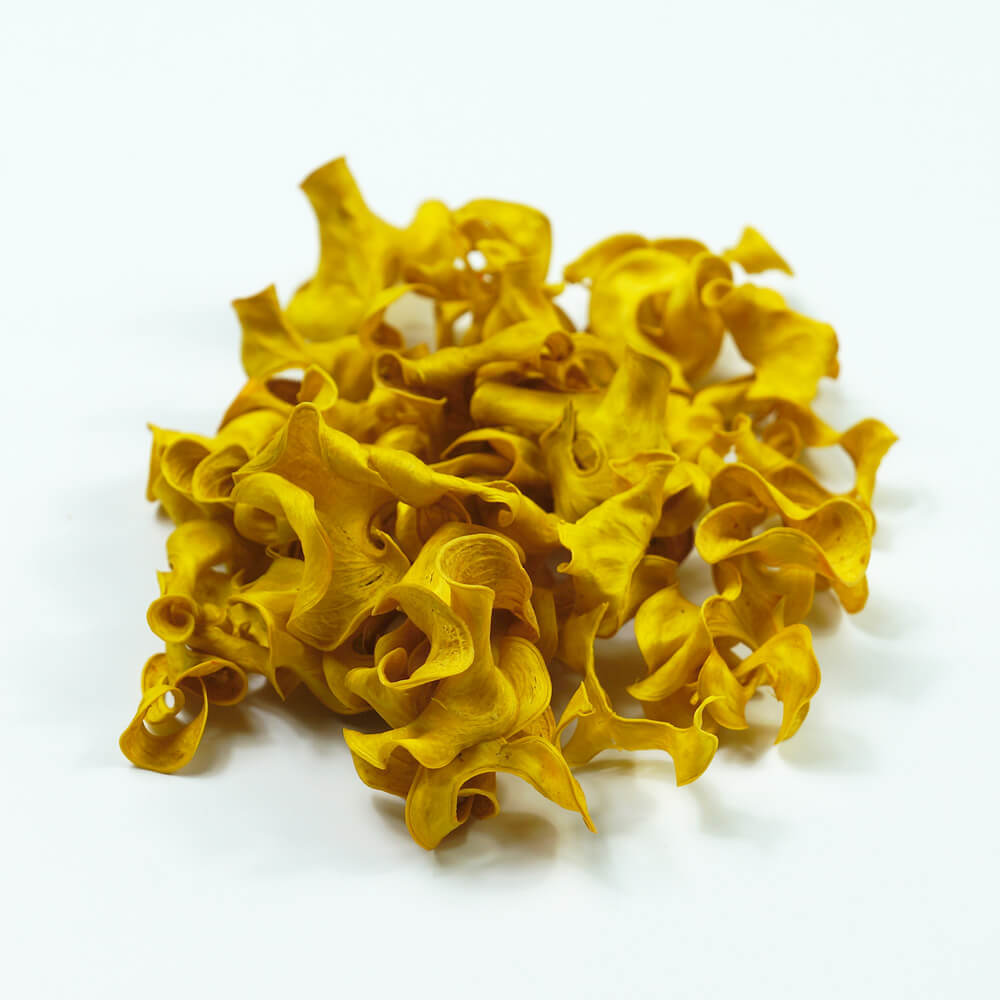 Yellow Curly Pod