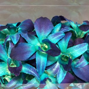 Blue Sonia Orchid Head - Prosco