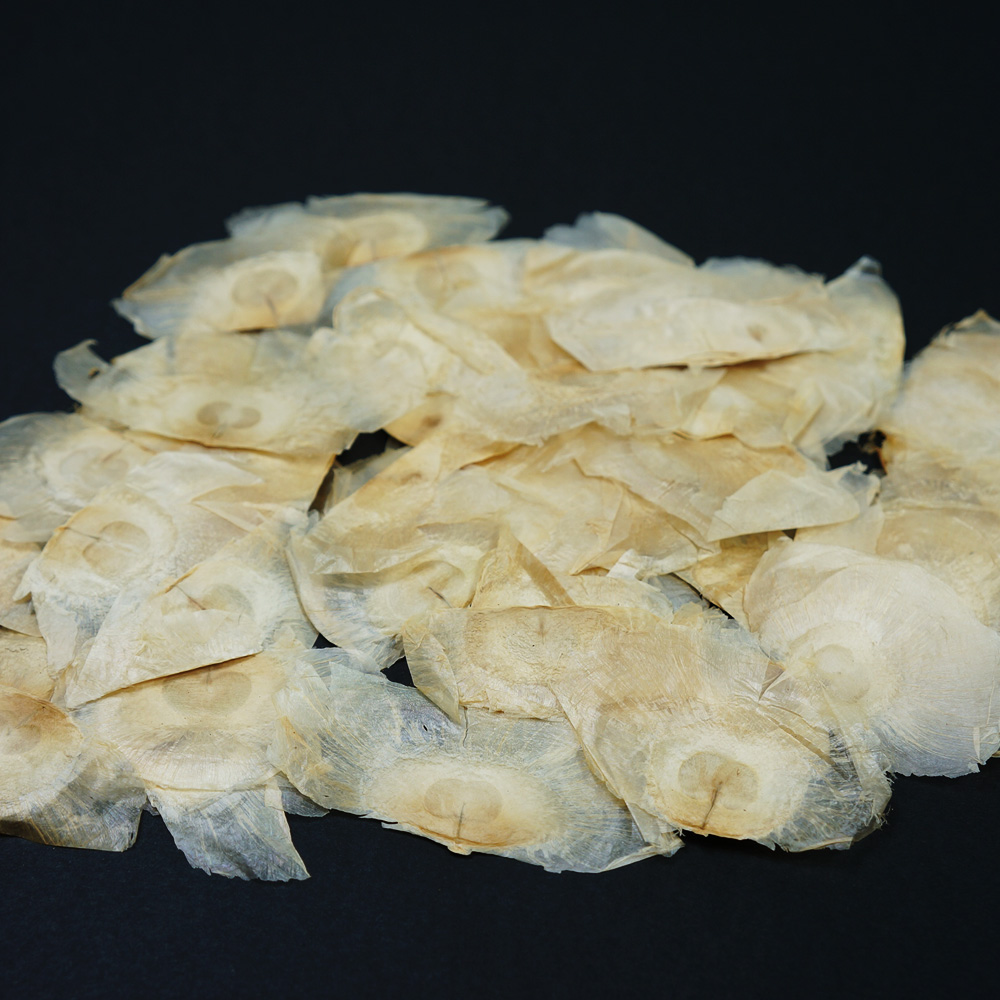 Angel Wings Natural4 - Dried Botanical and potpourri ingredients