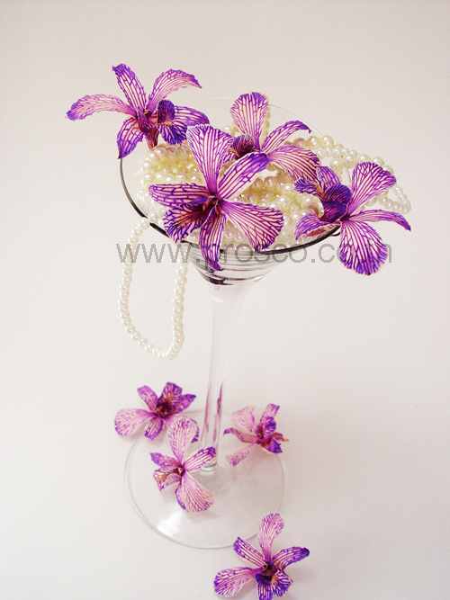 Lavender Orchid - Prosco