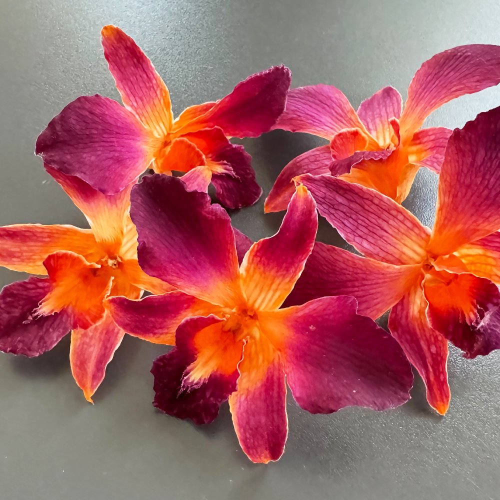 Orange Sonia Orchid Head - Prosco