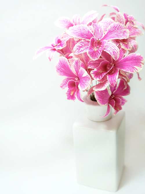 Wired Pink Butterfly Orchid in a white vase - Prosco