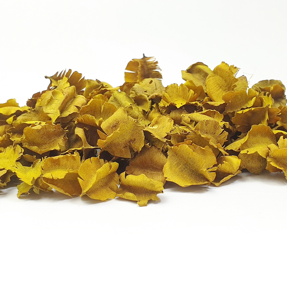 Dried Botanical and potpourri ingredients - Windmill Pod Yellow