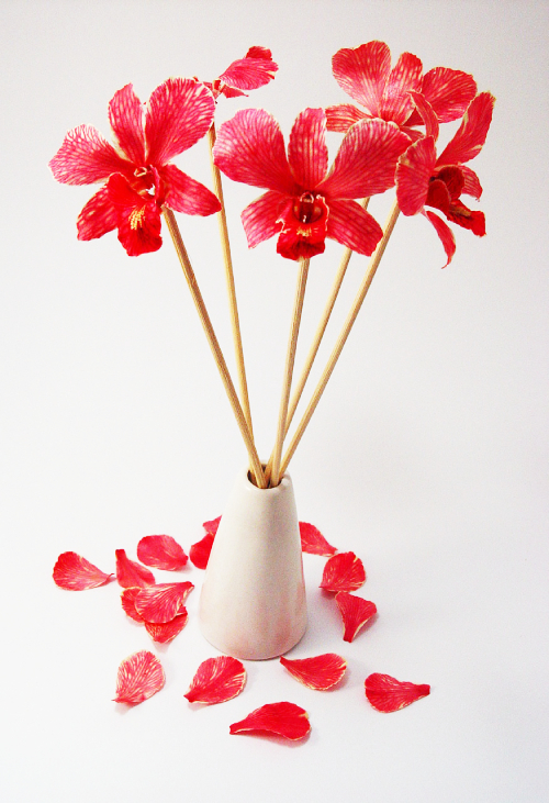 Red Dried Orchid - Prosco