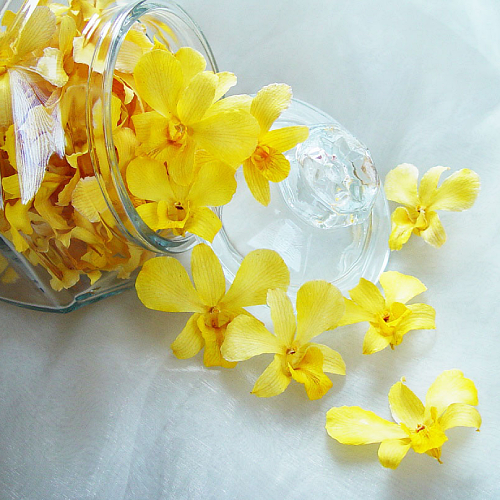 Yellow Dried Orchid Head with a Glass Jar- Prosco