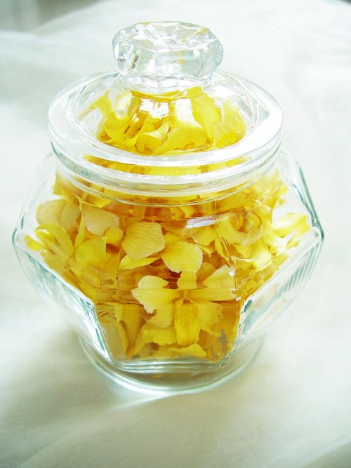 Yellow Dried Orchid Head in a Glass Jar- Prosco